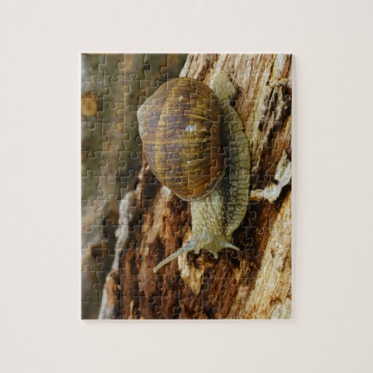 Burgundy Roman Edible Snail Helix Pomatia Legpuzzel (Verticaal)