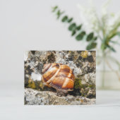 Burgundy snail briefkaart (Staand voorkant)