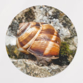Burgundy snail labels (Design 1)
