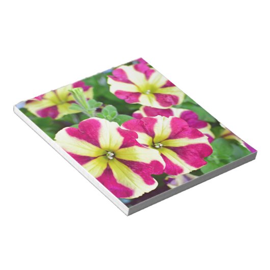 Burgundy Star Petunias Notitieblok (Schuin)