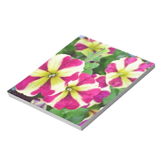 Burgundy Star Petunias Notitieblok (Linkerzijde)