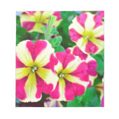 Burgundy Star Petunias Notitieblok (Voorkant)