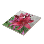 Burgundy Starburst Lily Tegeltje (Zijkant)