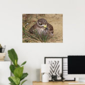 Burhinus oedicnemus poster (Thuiskantoor)