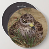 Burhinus oedicnemus ronde button 6,0 cm (Voorkant /achterkant)