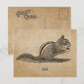 Burlap  hallo Chipmunk Briefkaart (Voorkant / Achterkant)