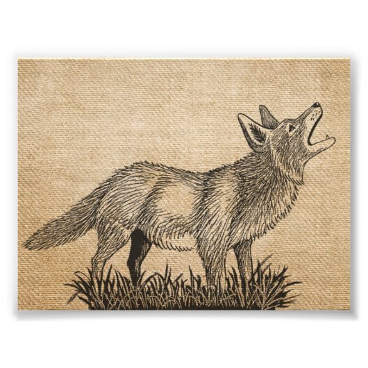 Burlap  Howling Wolf 7 x 5 inch Foto Afdruk (Voorkant)
