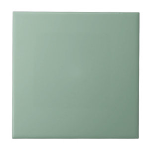 Burmese Jade Green Square Kitchen en Bathroom Tegeltje