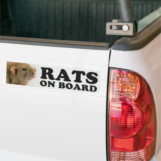(Burmese) Rats on board Bumpersticker (Op Truck)