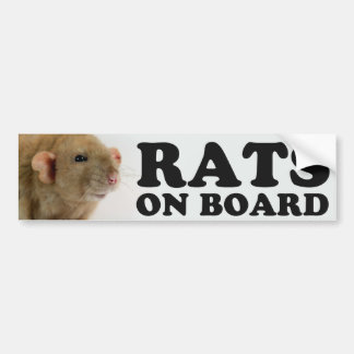 (Burmese) Rats on board Bumpersticker