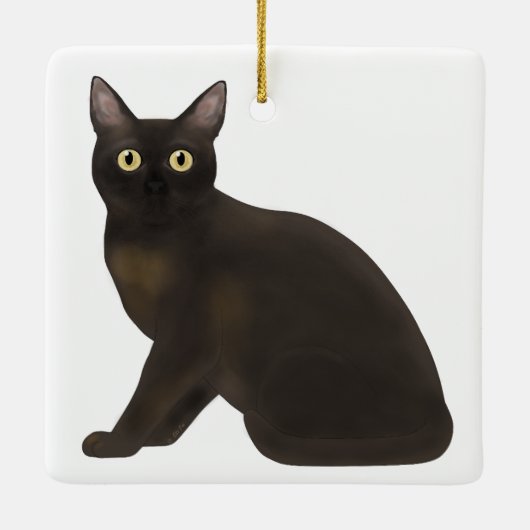 Burmese Sable Cat Holiday Ornament (Achterkant)