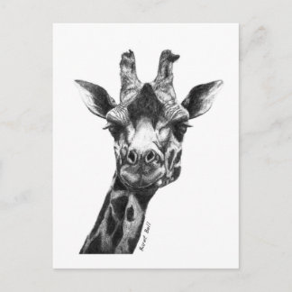 Burney de Giraffe Briefkaart