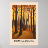 Burnham Beeches Reisposter Poster (Voorkant)