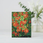 Burning Struik en Emu Wren of Chili, prima art, Briefkaart (Staand voorkant)