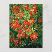 Burning Struik en Emu Wren of Chili, prima art, Briefkaart (Voorkant)