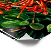 Burning Struik en Emu Wren of Chili, prima art, Perfect Poster (Hoek)