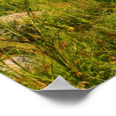 Burnt Island Lighthouse-Maine Poster (Hoek)