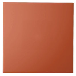 Burnt Sienna Color | #C65430 Tegeltje