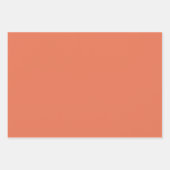 Burnt Sienna Inpakpapier Vel (Voorkant)