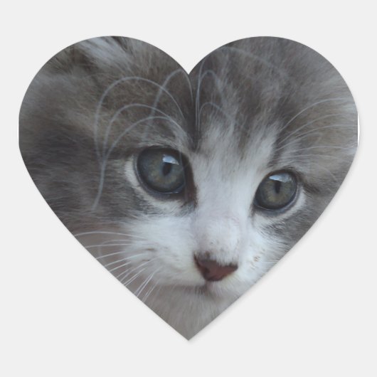 Burr Baby Hart Sticker (Voorkant)
