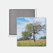Burr Oak Trees en Prairie Magneet (Voorkant / Achterkant)