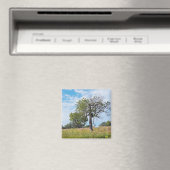 Burr Oak Trees en Prairie Magneet (Insitu (Vaatwasser))