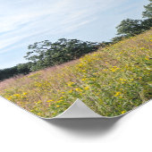 Burr Oak Trees en Prairie Poster (Hoek)