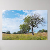 Burr Oak Trees en Prairie Poster (Voorkant)