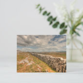 Burren Stone Wall Briefkaart (Staand voorkant)