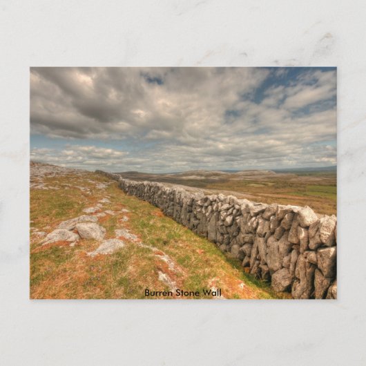 Burren Stone Wall Briefkaart (Voorkant)