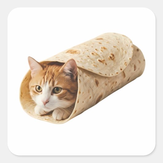 Burrito Kat Grappig Ingepakte Kat Meme Design Vierkante Sticker (Voorkant)