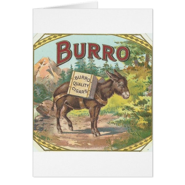  Burro (Voorkant)