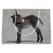 Burro Gift Bag Large Cadeautasje (Voorkant)
