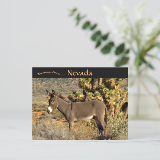 Burro in Nevada Briefkaart (Staand voorkant)
