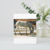 Burro in Town Briefkaart (Staand voorkant)