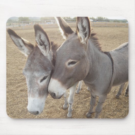 Burro Love Muismat (Voorkant)