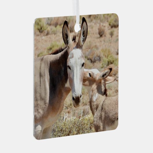 Burro Love Ornament (Voorkant Rechts)