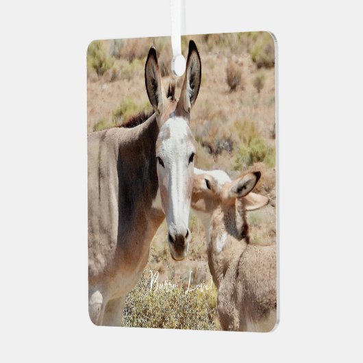 Burro Love Ornament (Voorkant links)
