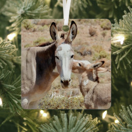 Burro Love Ornament