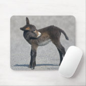 Burro Mousemat Muismat (Met muis)