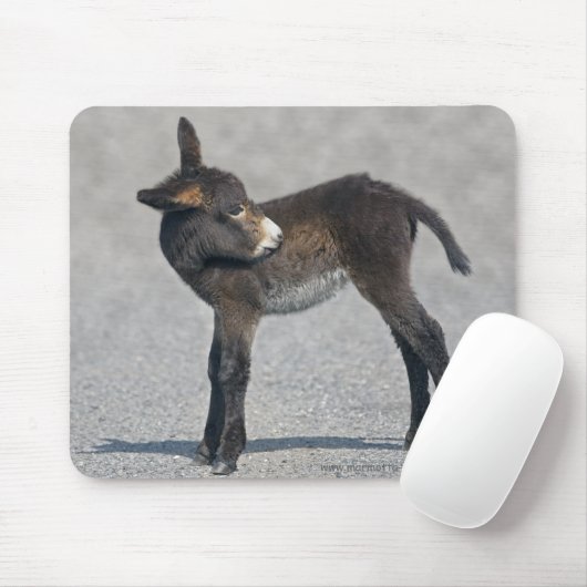 Burro Mousemat Muismat (Met muis)