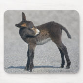 Burro Mousemat Muismat (Voorkant)