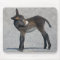 Burro Mousemat