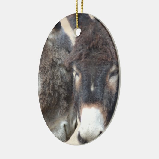 Burro Ornament (Links)