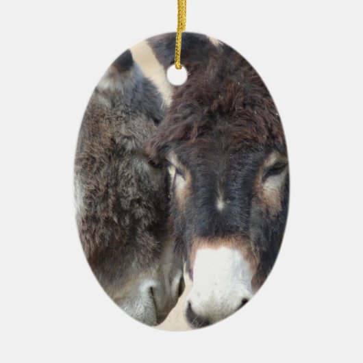 Burro Ornament (Voorkant)