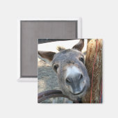 Burro Over Wagon Wiel vierkante magneet (Voorkant / Achterkant)