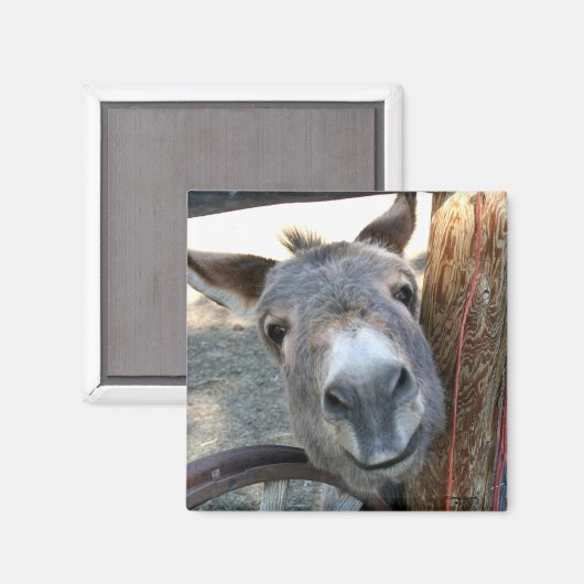 Burro Over Wagon Wiel vierkante magneet (Voorkant / Achterkant)