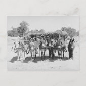 Burros Briefkaart (Voorkant)