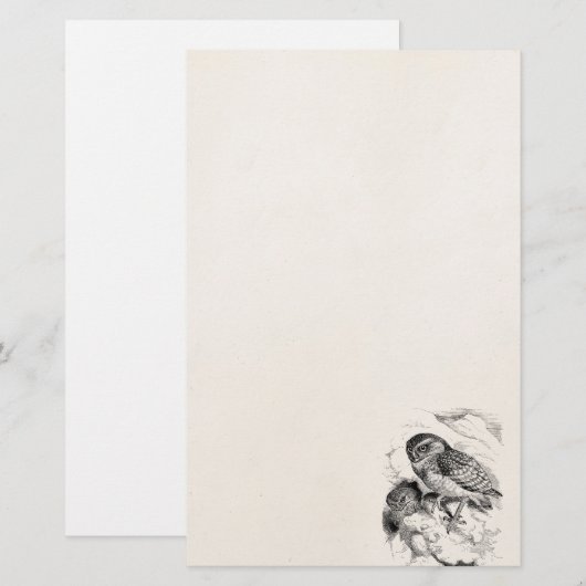  Burrowing Owl Chick Bird Illustratie Briefpapier (Voorkant / Achterkant)