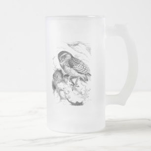 Burrowing Owl Chick Bird Illustratie Matglas Bierpul